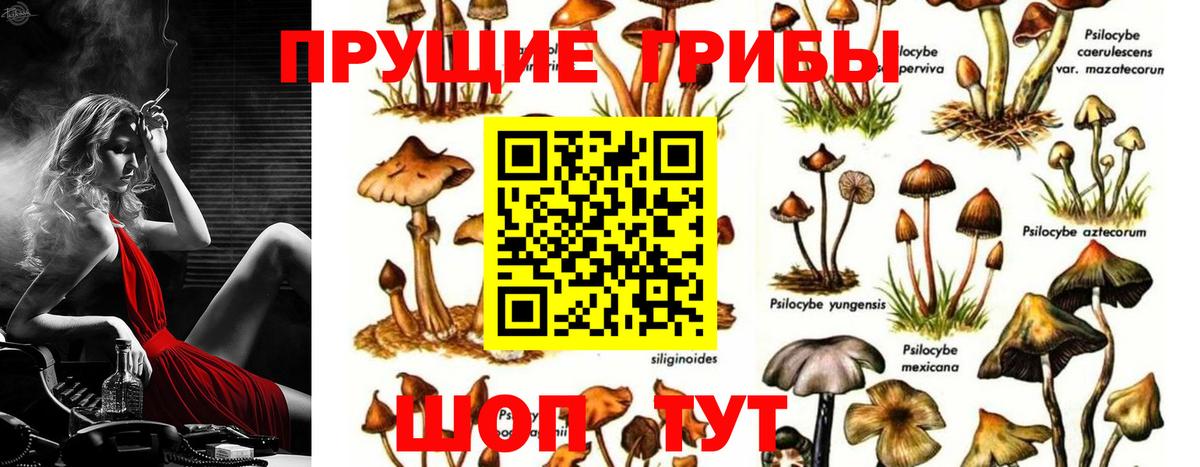 Галлюциногенные грибы MAGIC MUSHROOMS  Вход с VPN  Южноуральск 