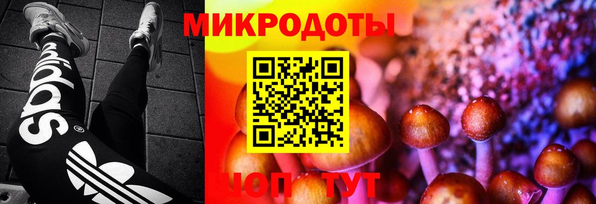 Псилоцибиновые грибы GOLDEN TEACHER Южноуральск